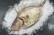 Load image into Gallery viewer, John Dory fillets from 3/400gm fish (pack of 6)
