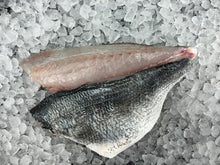 Load image into Gallery viewer, Gilthead bream
