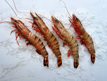 Load image into Gallery viewer, King prawns, raw shell-on
