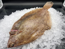 Load image into Gallery viewer, Lemon sole

