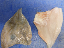Load image into Gallery viewer, John Dory fillets from 3/400gm fish (pack of 6)
