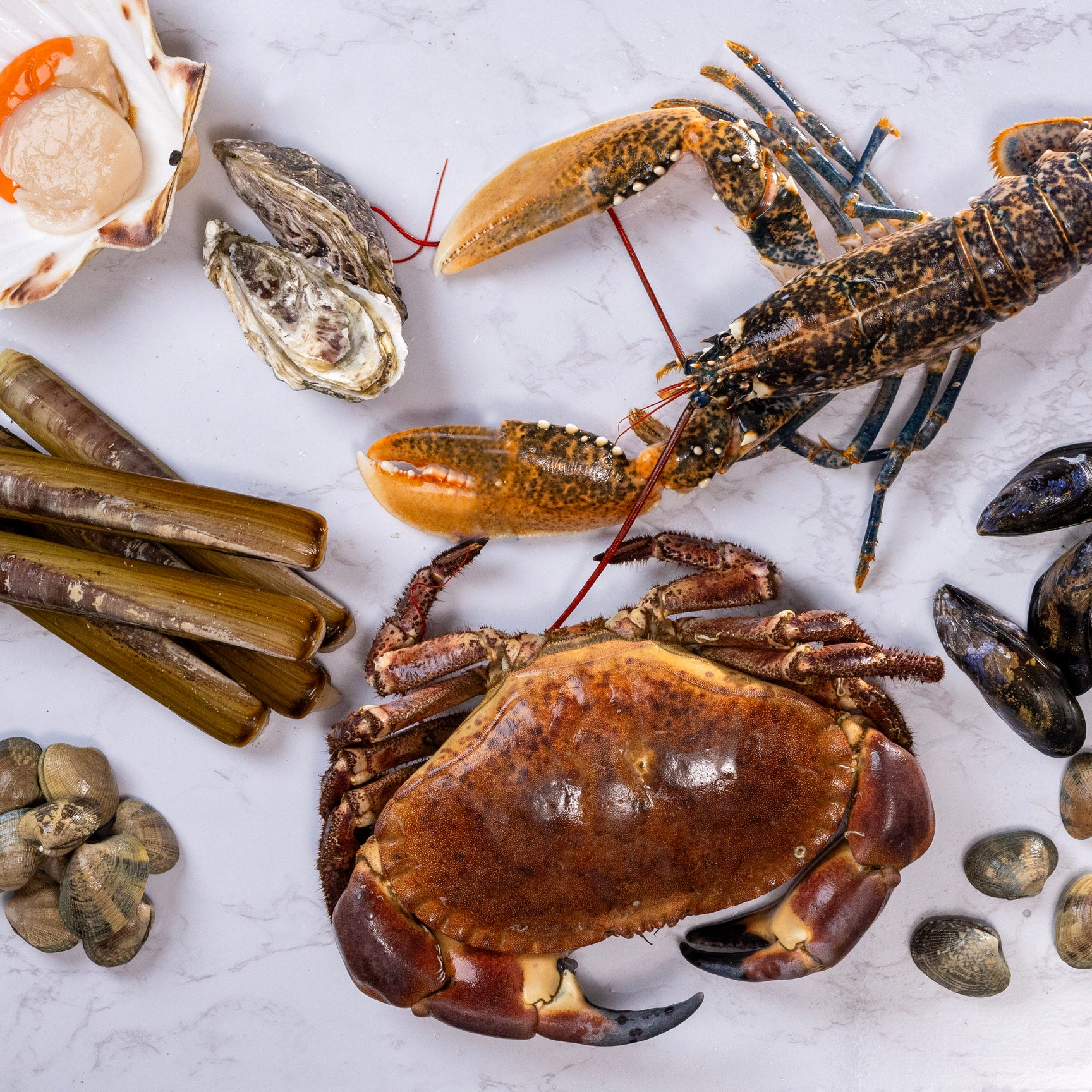 New Wave Fish and Seafood Market, collection or delivery