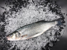 Load image into Gallery viewer, Sea bass (farmed)

