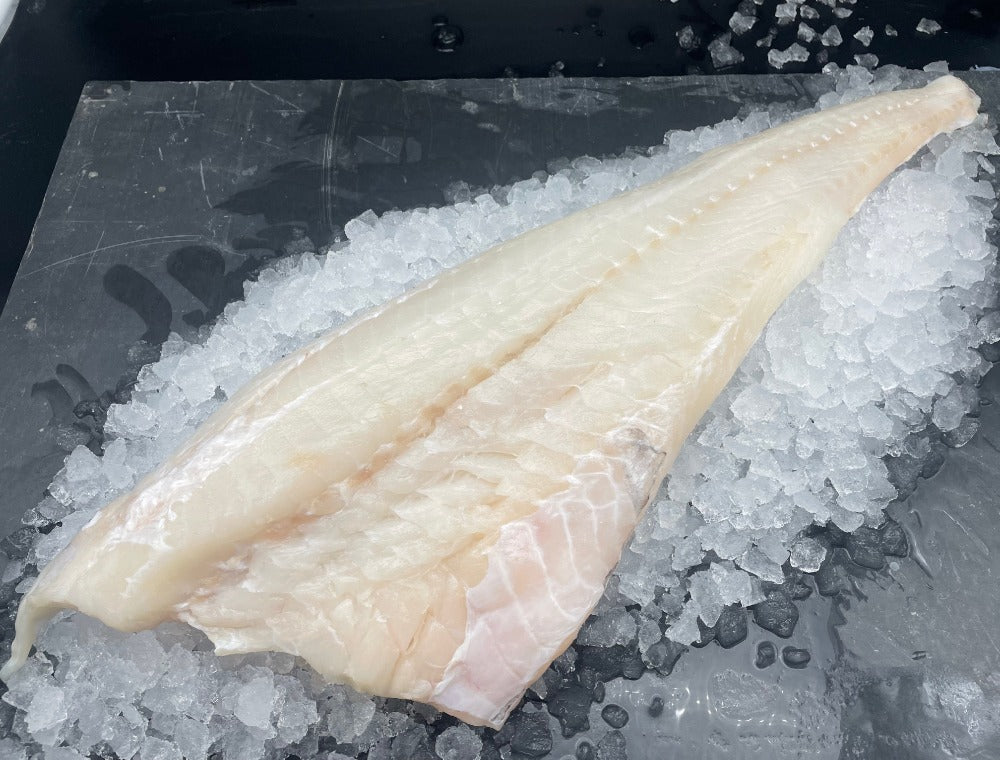 Cod Fish File Cod β New Wave Fish and Seafood Market