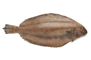 Cornish sole