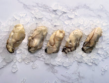 Load image into Gallery viewer, Mussels, clams &amp; oysters
