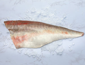 Gurnard