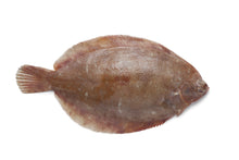 Load image into Gallery viewer, Lemon sole
