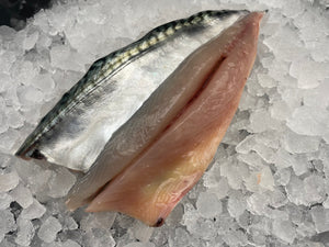 Mackerel