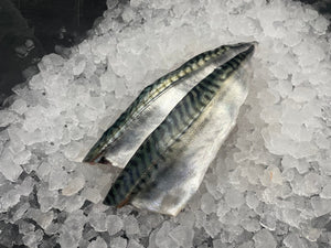 Mackerel