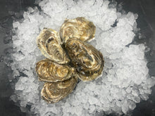 Load image into Gallery viewer, Oysters
