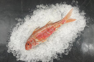 Red mullet