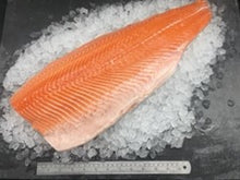 Load image into Gallery viewer, Salmon
