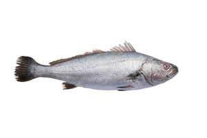 Stonebass