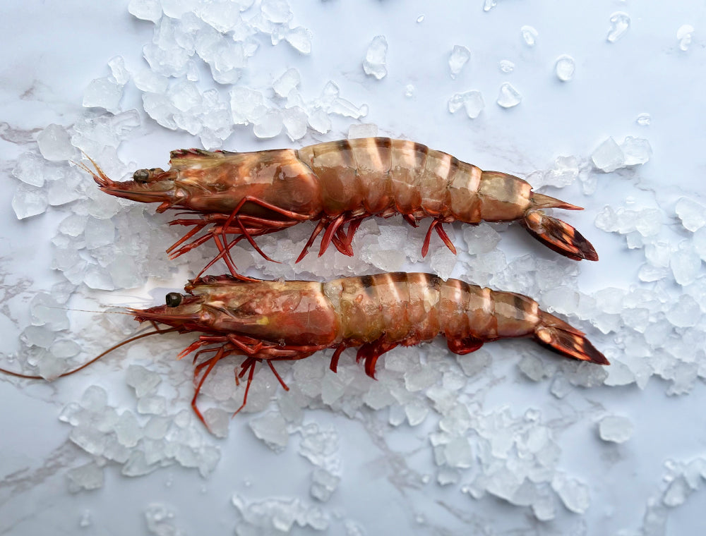 Prawn Fresh Shell King Prawns Iceland Luxury 8 Raw Easy Peel Extra Large King Prawns