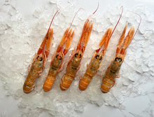 Load image into Gallery viewer, Langoustines &amp; scampi
