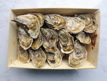 Load image into Gallery viewer, Oysters
