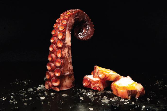 Octopus, cooked