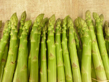 Load image into Gallery viewer, Asparagus,  (Wye Valley or Evesham)
