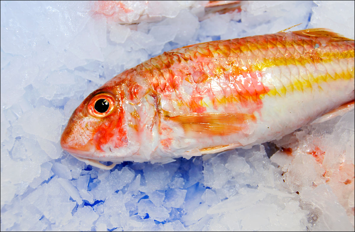 Red mullet – New Wave Fish and Seafood Market